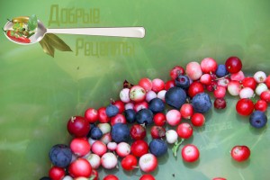 Сбор клюквы и лесных ягод