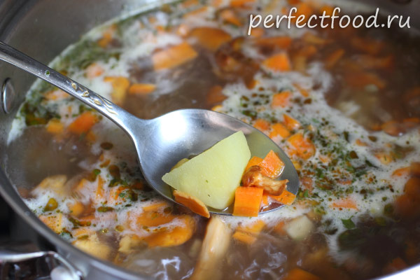Грибной суп в кастрюле - рецепт с фото