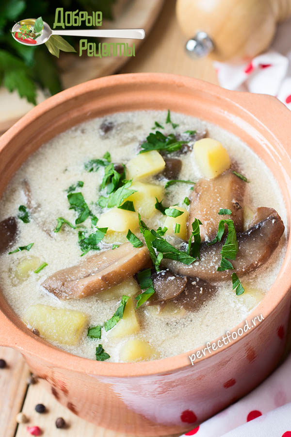 Вегетарианский картофельный суп с грибами - рецепт с фото и видео