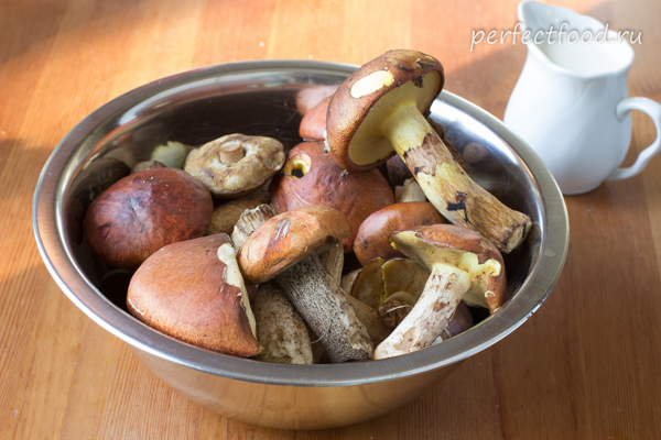 лесные грибы рецепты приготовления