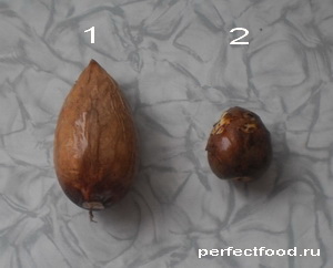 Две разные косточки авокадо