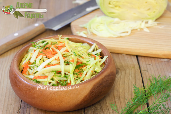 Салат из свежей капусты и моркови - рецепт с фото