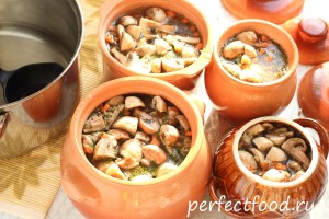 Перловка с грибами в горшочках — рецепт с фото и видео