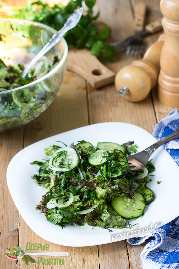 Зелёный салат из огурцов и зелени - рецепт с фото